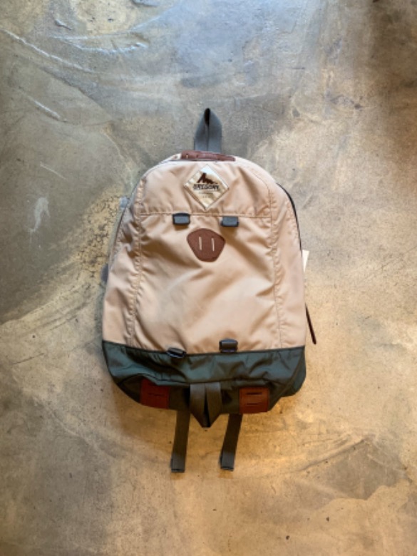 GREGORY DAY BACKPACK